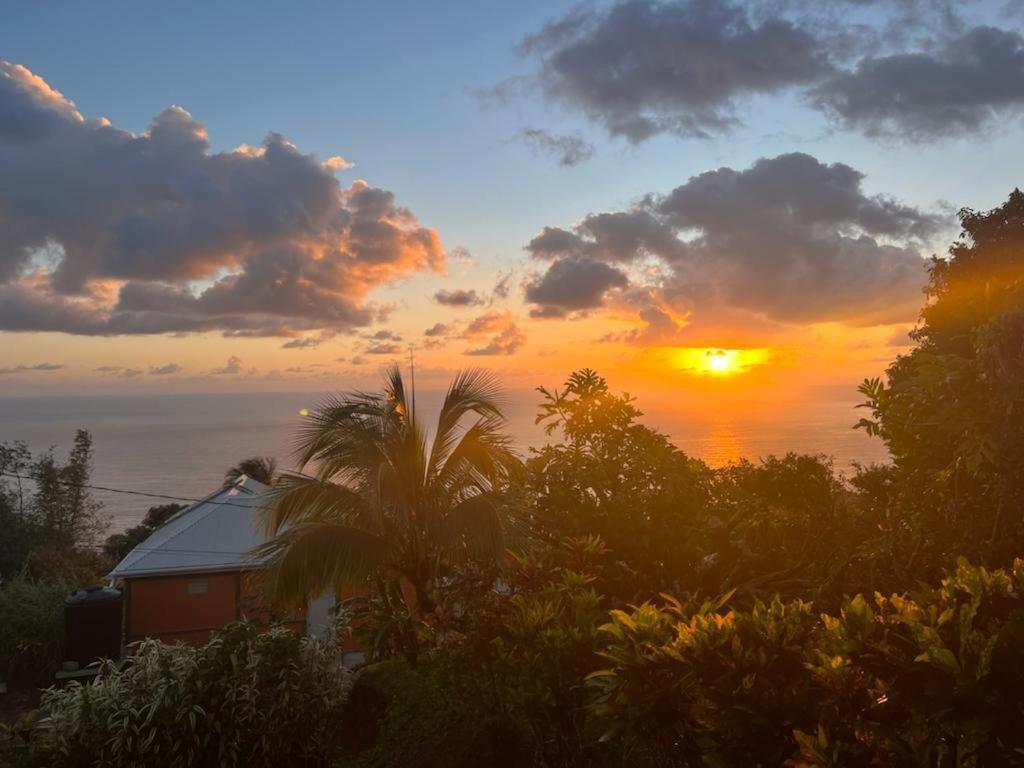 "Sunrise Inn" Nature Island Dominica Penville Exterior foto